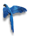 1607490142159662.png